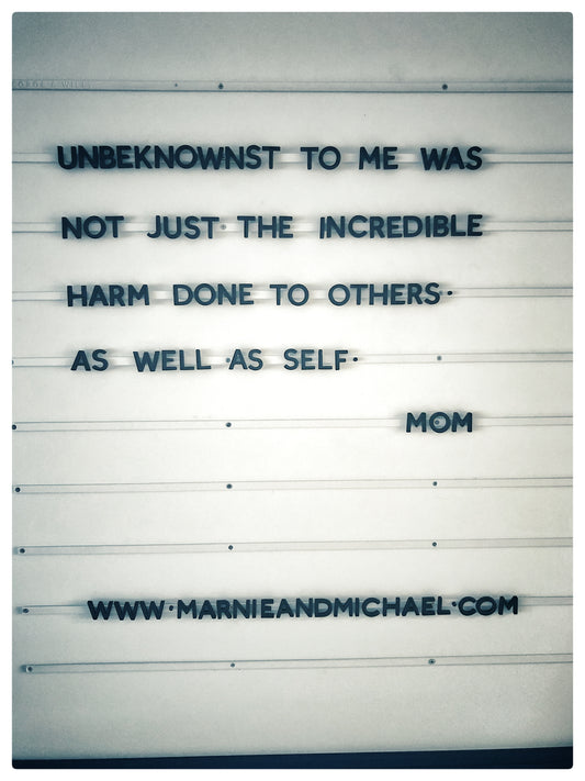Mom's Journal, Entry 1
