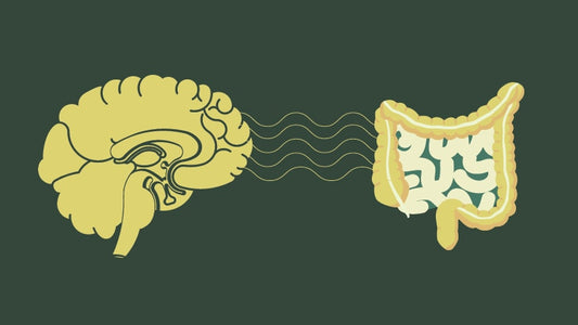FREE WORKSHOP: The Mind-Gut Connection w/ Hollie Chrome